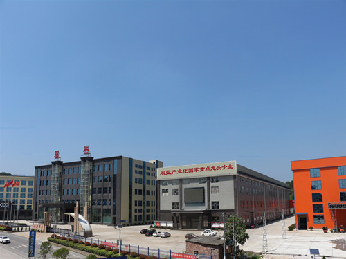 公司全景 公司全景